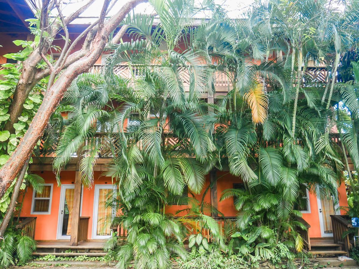 Hotel Posada Las Orquídeas West End Exterior foto