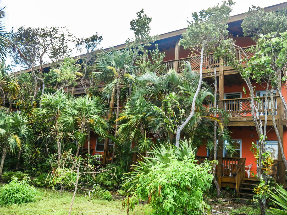 Hotel Posada Las Orquídeas West End Exterior foto