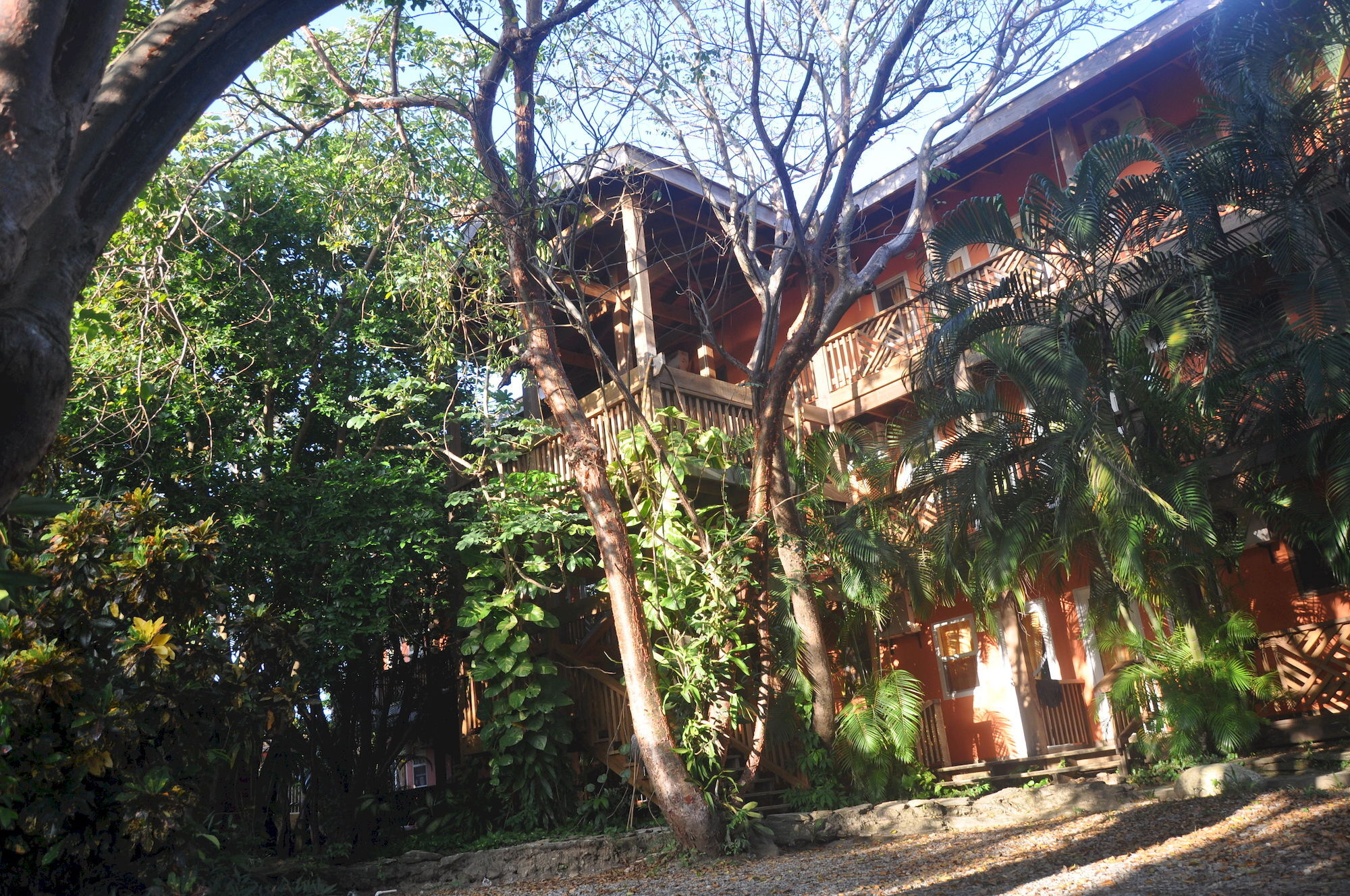 Hotel Posada Las Orquídeas West End Exterior foto