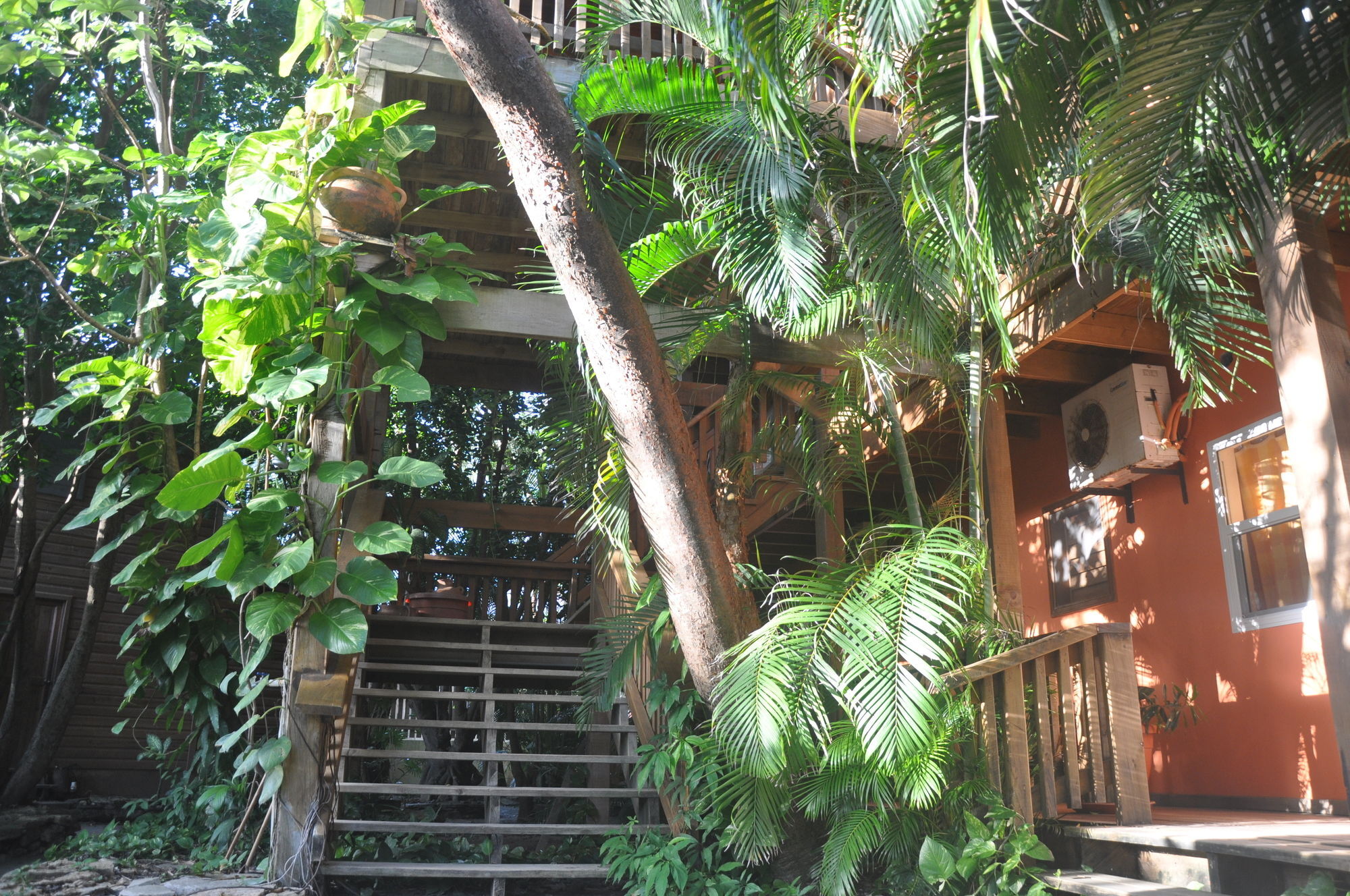 Hotel Posada Las Orquídeas West End Exterior foto